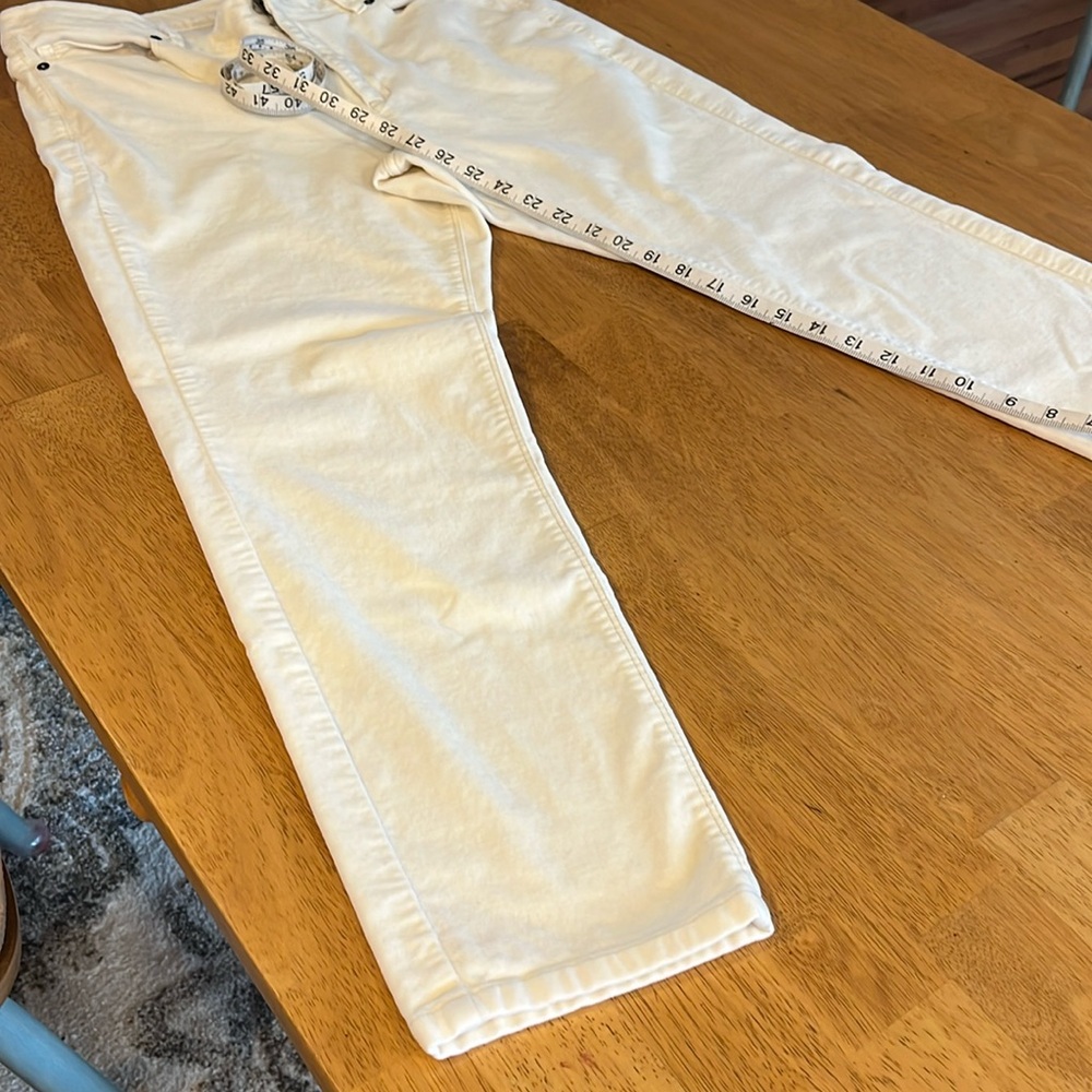 J Jill brush velvet ankle length pants